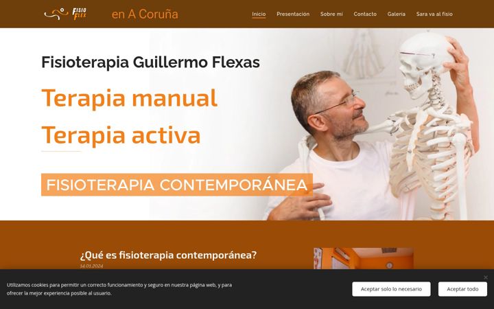 Screenshot of fisio-flex.com