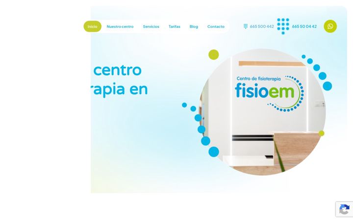 Screenshot of fisioem.com