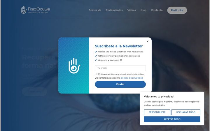 Screenshot of fisioocular.com