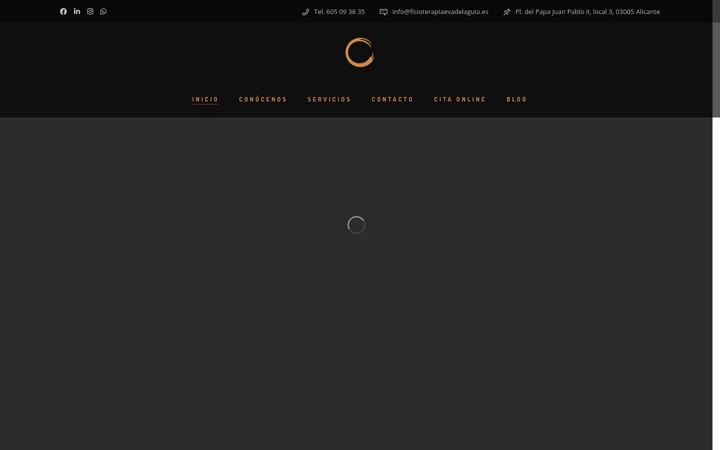 Screenshot von fisioterapiaevadelaguia.es