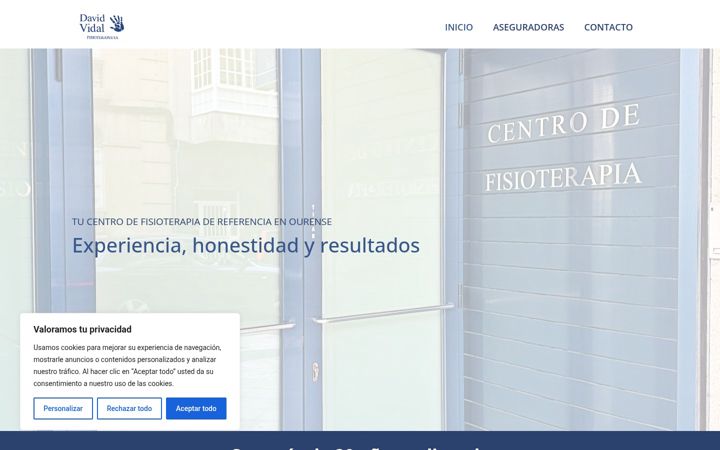Screenshot of fisioterapiavidal.com