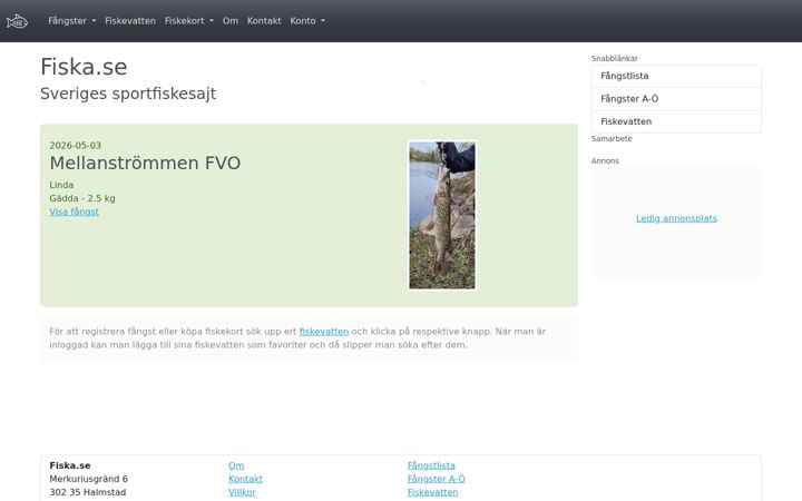 Screenshot of fiska.se