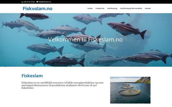 Screenshot of fiskegylle.dk