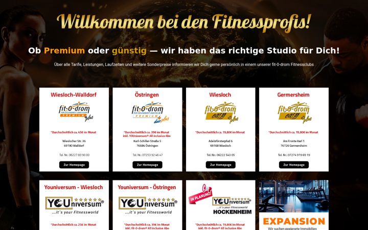 Screenshot of fit-o-drom-oestringen.de