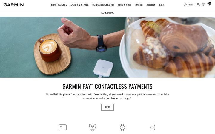 Skjámynd af fit-pay.com