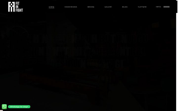 Screenshot of fitinfight.com.tr