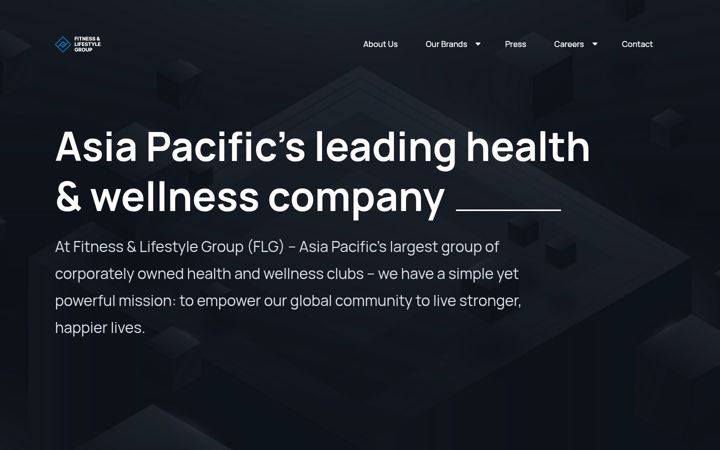 Screenshot of fitlg.com