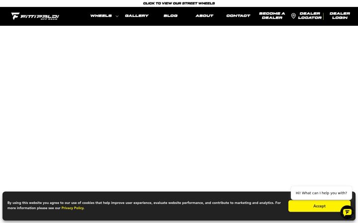 Screenshot of fittipaldioffroad.com