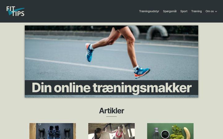 Screenshot of fittips.dk