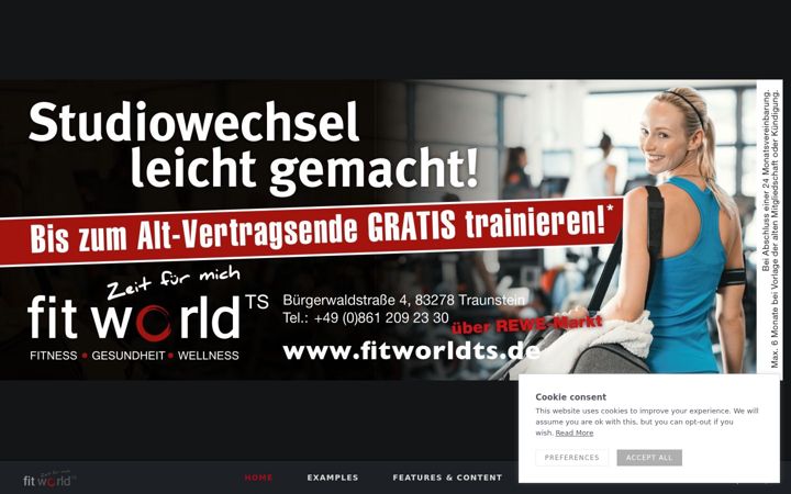 Screenshot of fitworldts.de