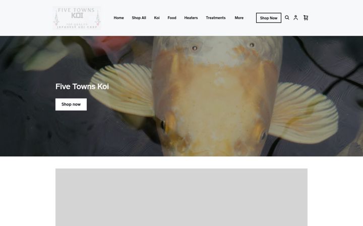 Screenshot ta' fivetownskoi.co.uk