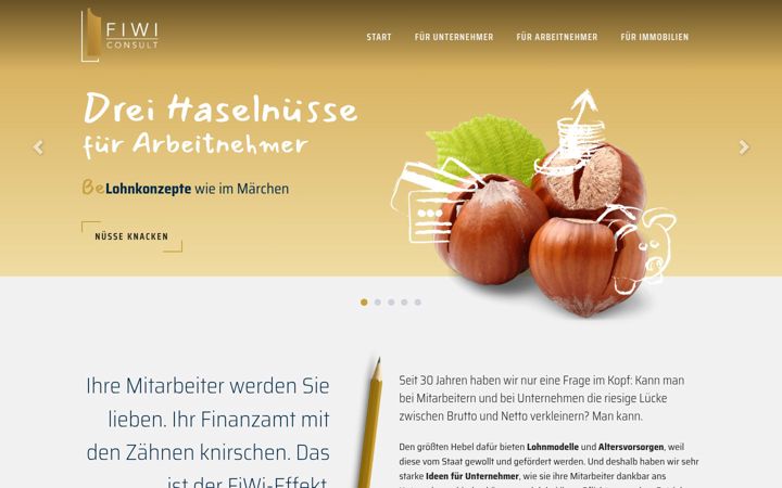 Screenshot of fiwi-consult.de