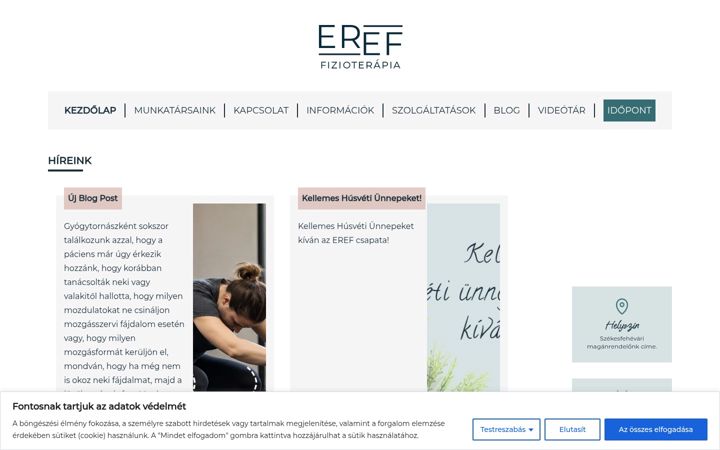 Screenshot of fizioeref.hu