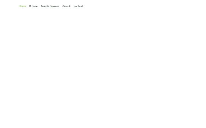 Screenshot of fizjobowen.com