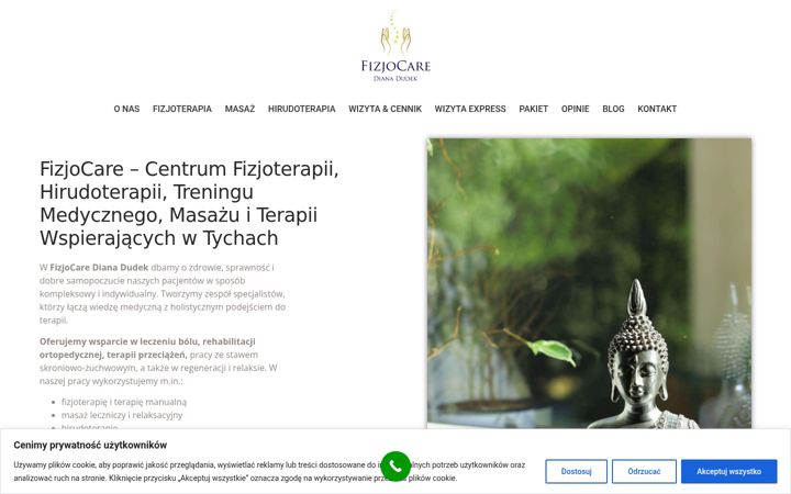 Screenshot of fizjocaretychy.pl
