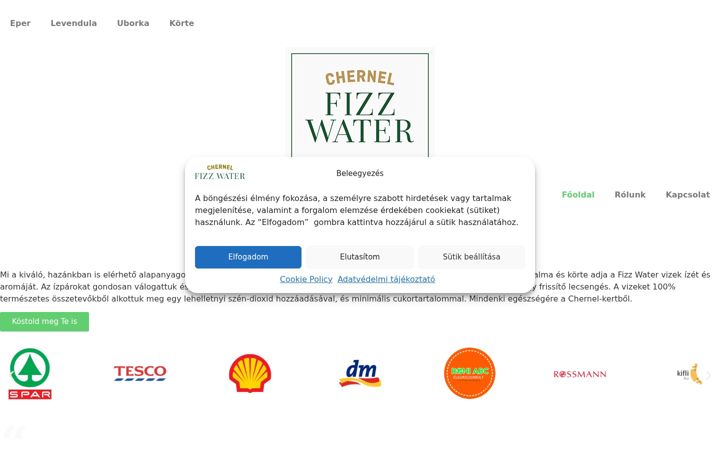 Screenshot of fizzwater.hu