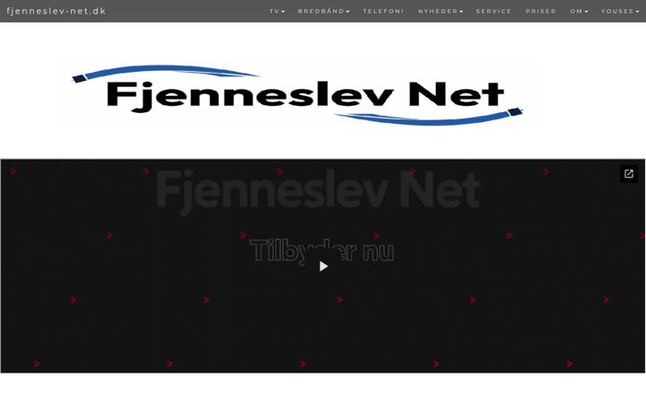 Screenshot of fjenneslev-antenne.dk