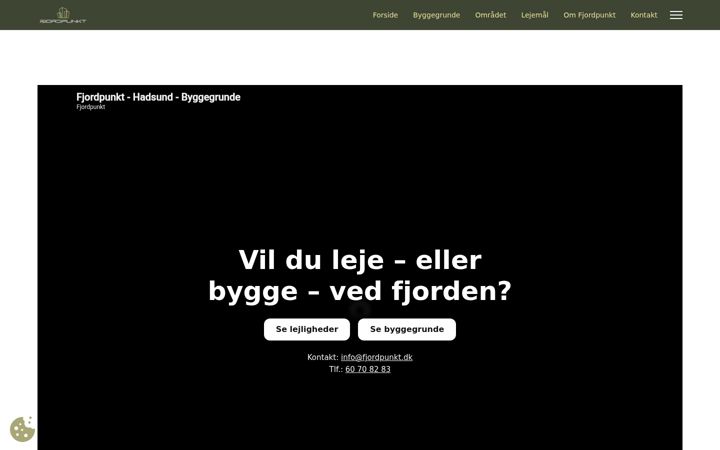 Screenshot of fjordpunkt.dk