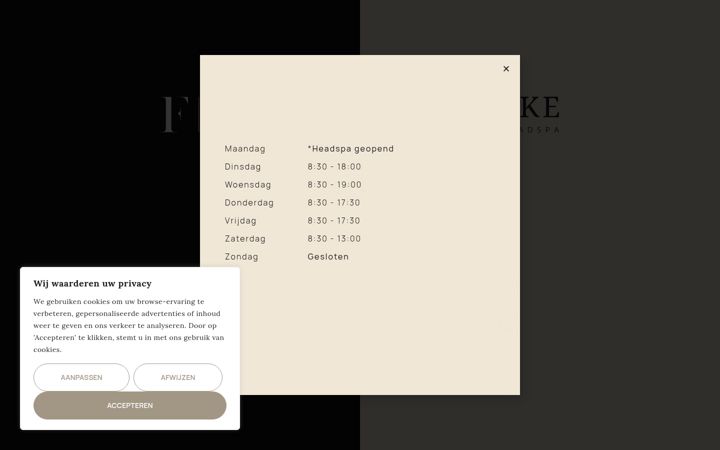 Screenshot of fkedesalon.nl