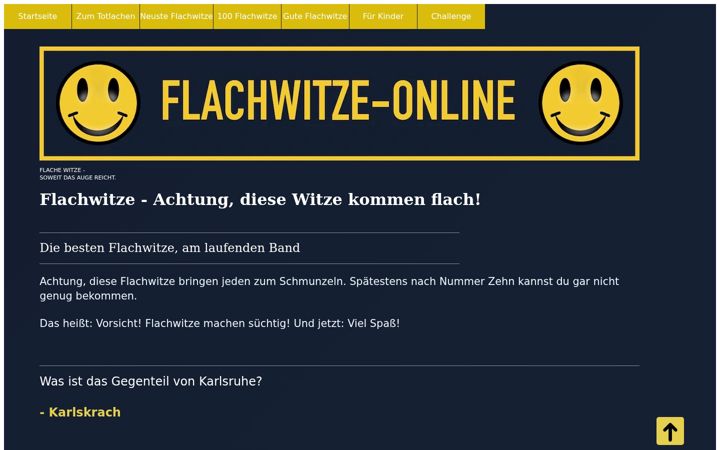 Screenshot of flachwitze.online