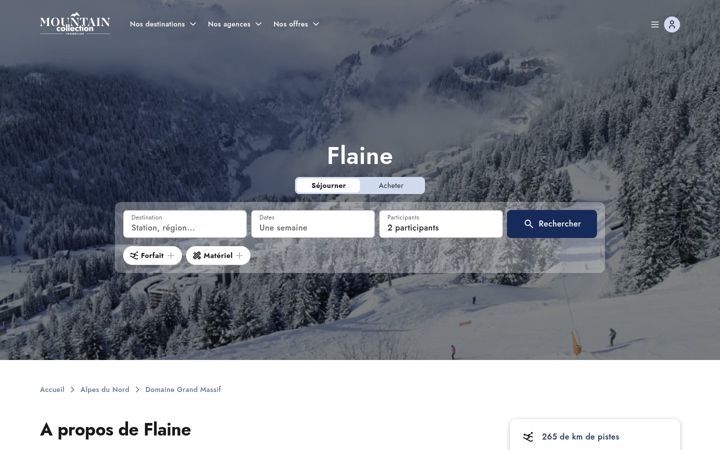 Screenshot of flaineimmobilier.com