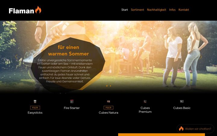 Screenshot of flaman-fire.ch