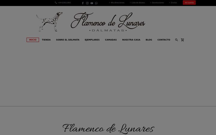Screenshot of flamencodelunares.com