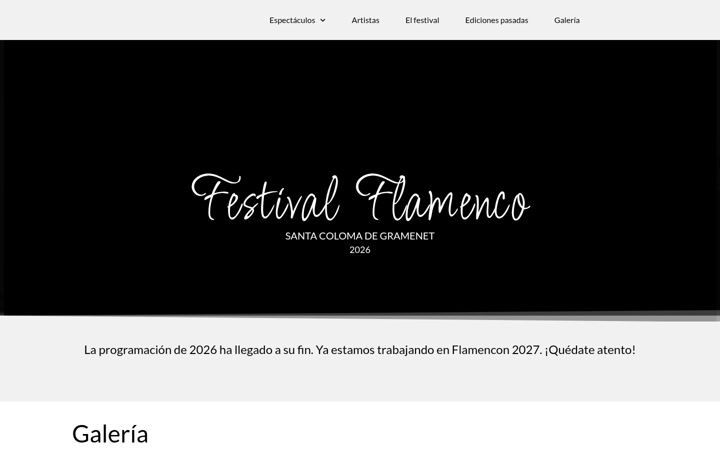Screenshot of flamencon.es