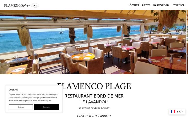 Screenshot of flamencoplage.fr