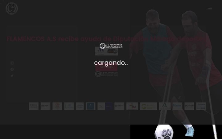 Екранна снимка на flamencosamputadosur.es