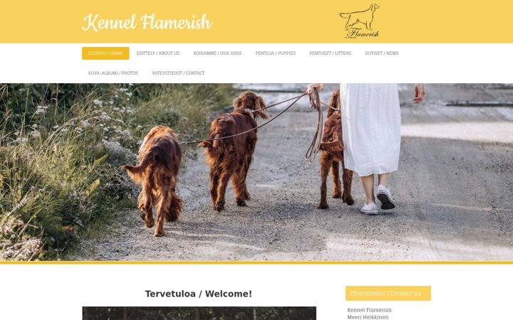Screenshot of flamerish.com