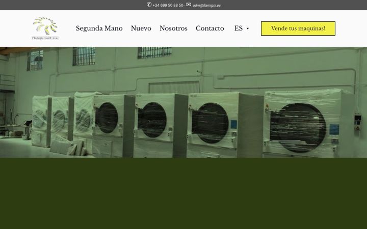 Screenshot of flamigni.es