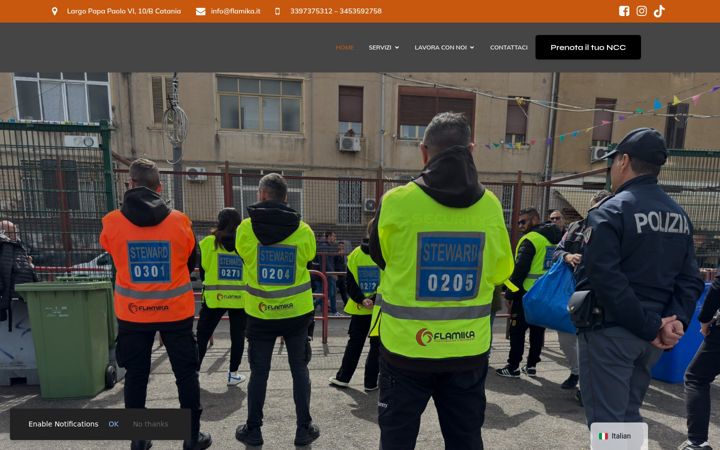 Screenshot του flamika.it