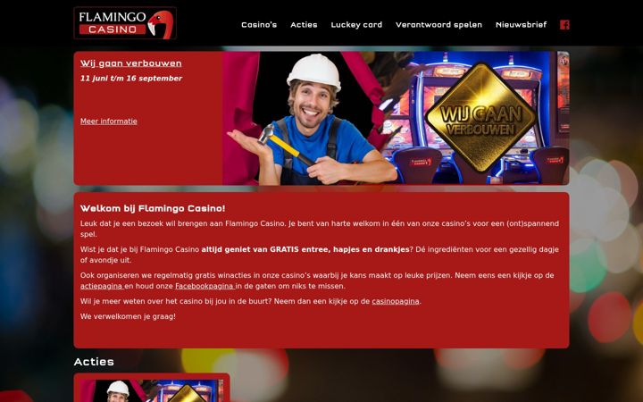 Screenshot of flamingocasino.online