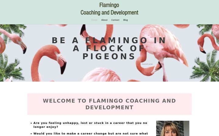 Screenshot of flamingocoaching.co.uk