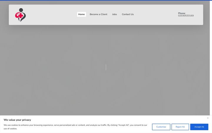 Screenshot of flamingomedics.co.uk