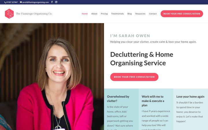 Screenshot of flamingoorganising.com