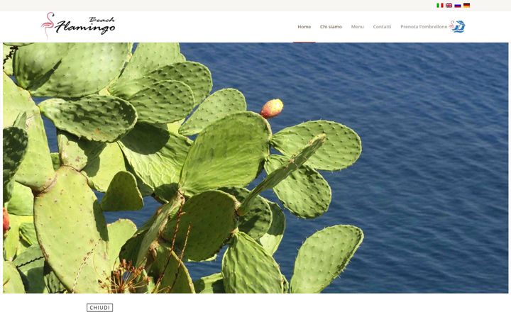 Screenshot of flamingopub.it