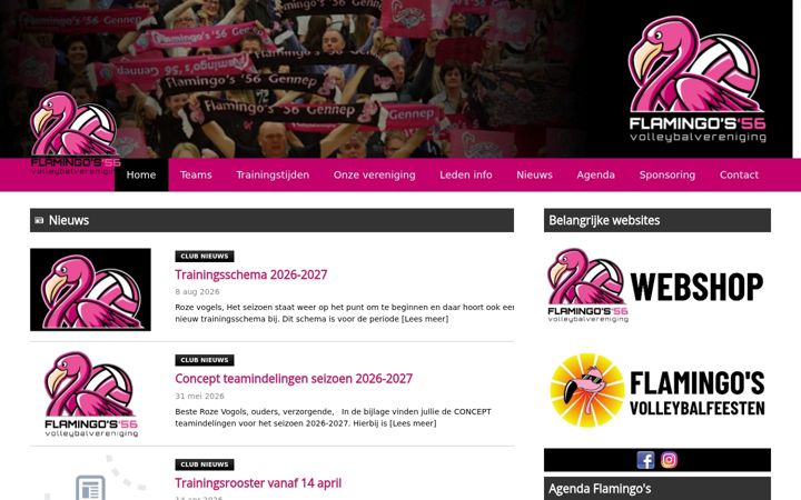 Screenshot of flamingos.nl