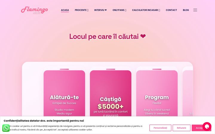 Screenshot of flamingostudio.ro