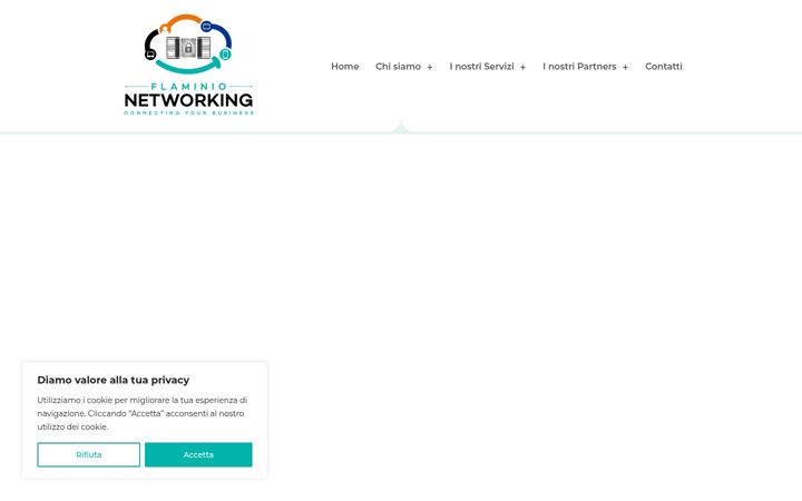 Screenshot του flaminionetworking.it