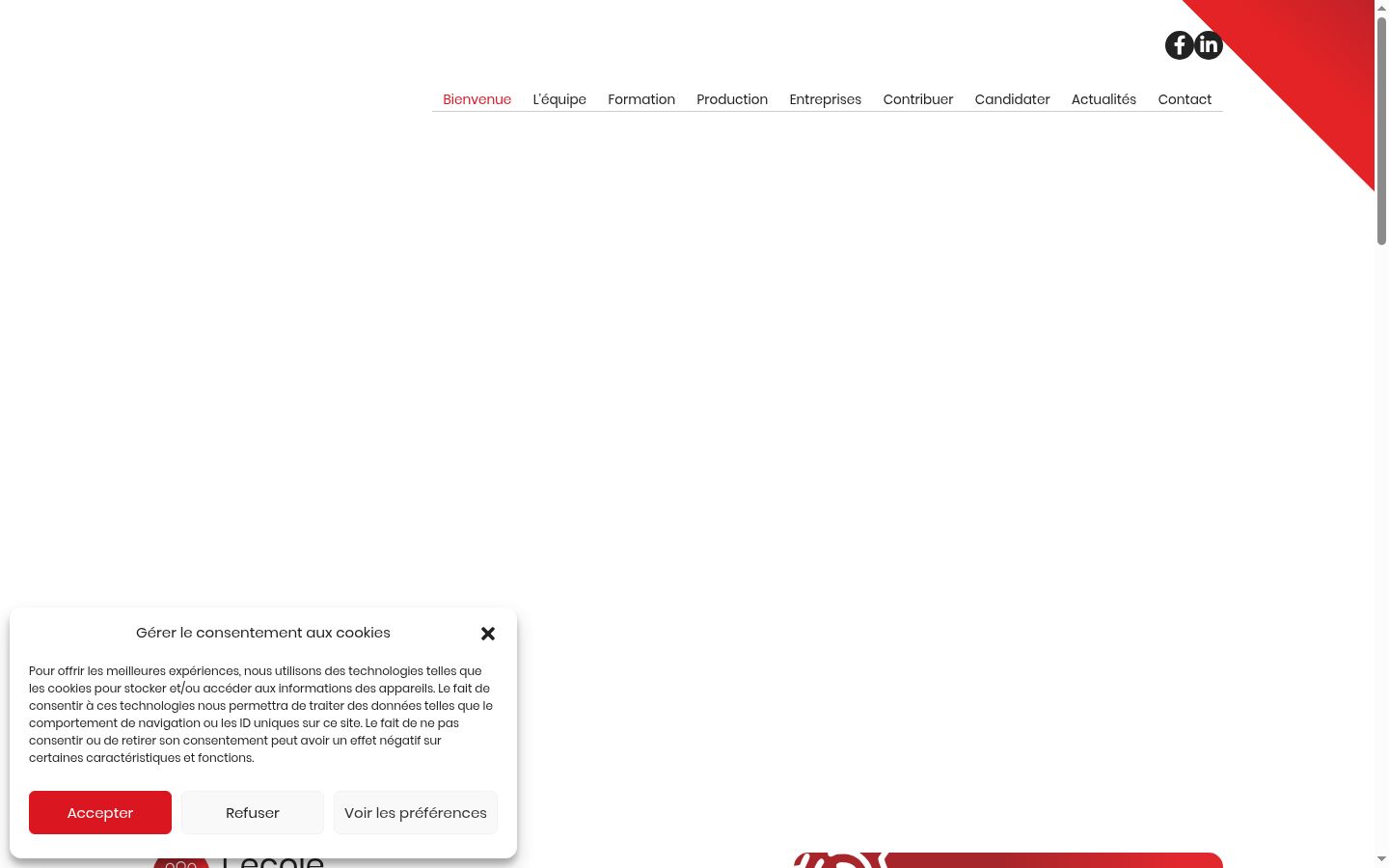 Screenshot of the consent banner shown before any interaction