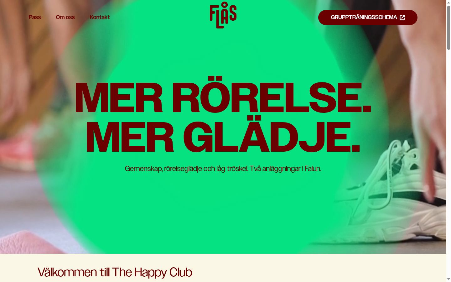 Sutikimo reklamjuostės, rodytos prieš bet kokią sąveiką, ekrano kopija