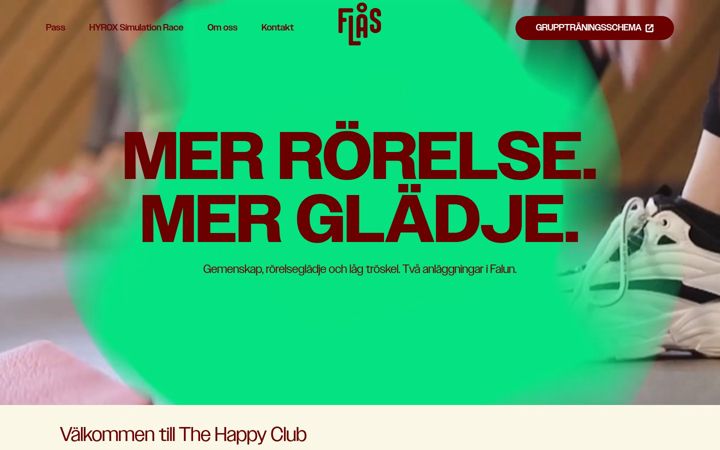 Screenshot of flas.se