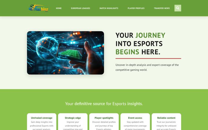 Screenshot of flashinz.com
