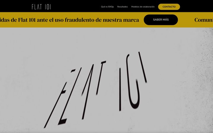Screenshot of flat101.es
