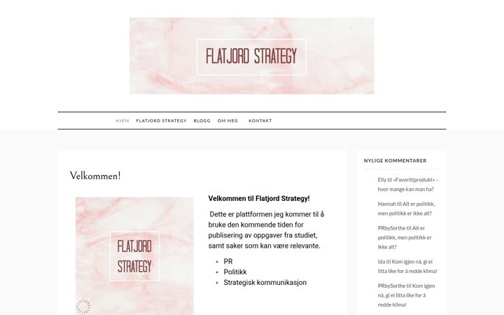 Screenshot of flatjordstrategy.online