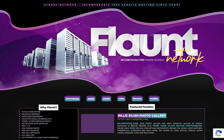 flauntmedia.net