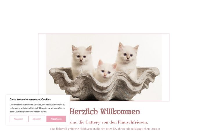 Screenshot of flauschfriesen.de