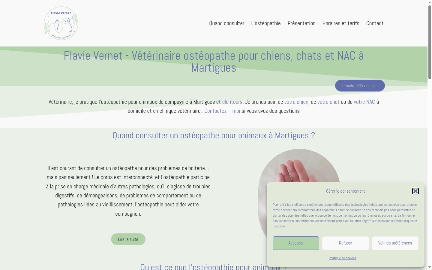 Captura de ecrã do banner de consentimento apresentado antes de qualquer interação